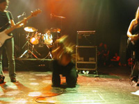 Paraphernalia en concert